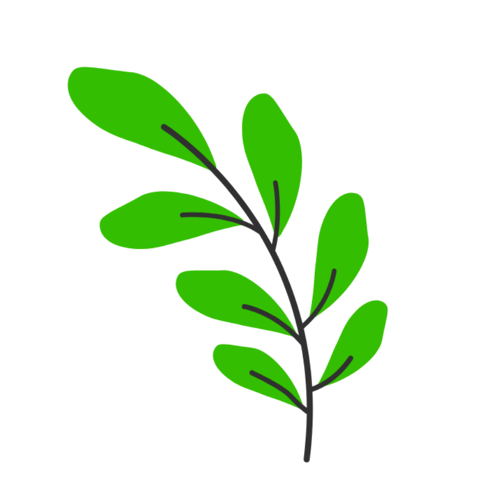 Naturally Sourced, Clean Ingredients